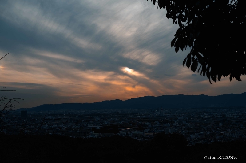 f:id:Studiocedarv:20200208165903j:plain