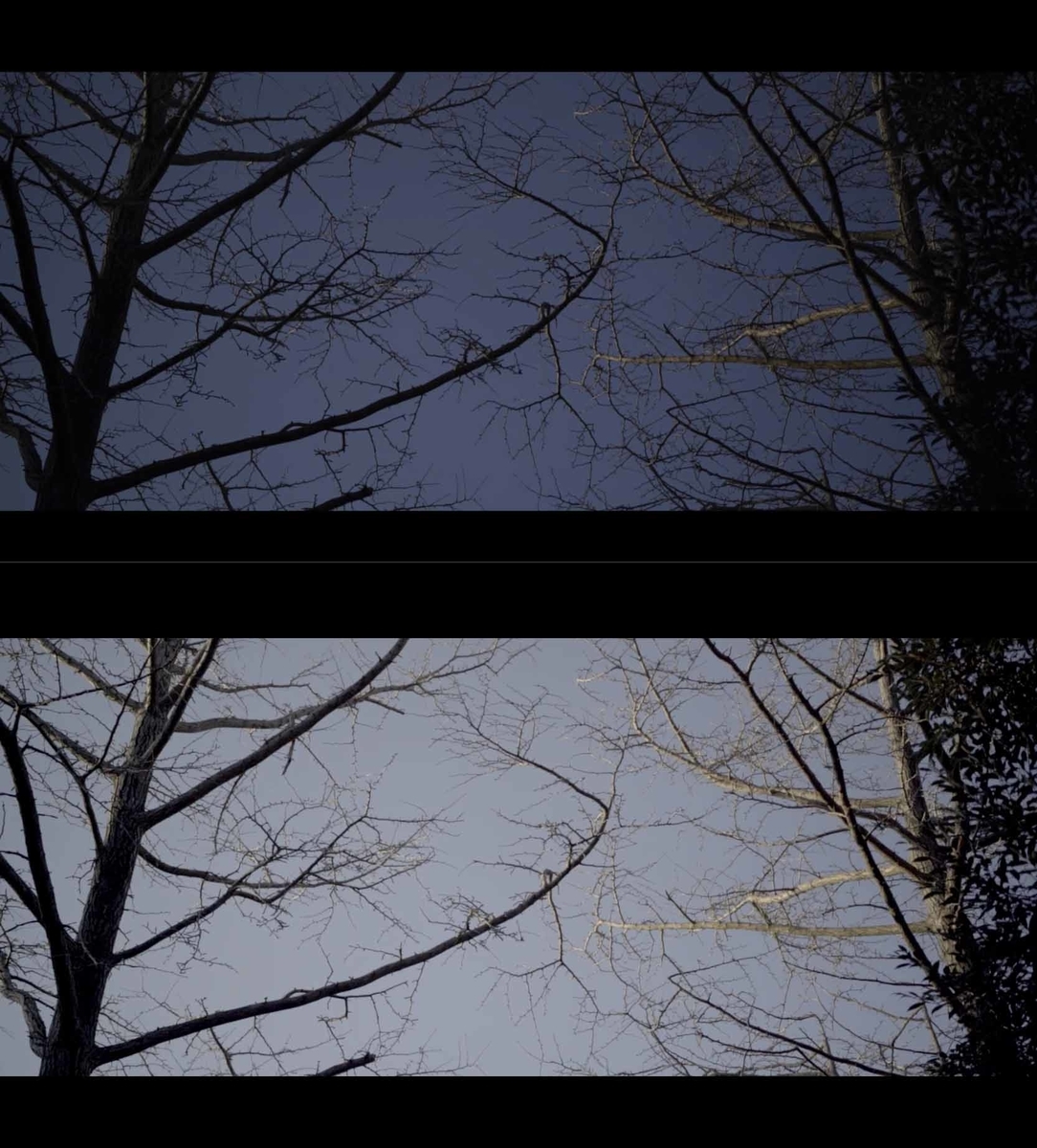 f:id:Studiocedarv:20200214205132j:plain