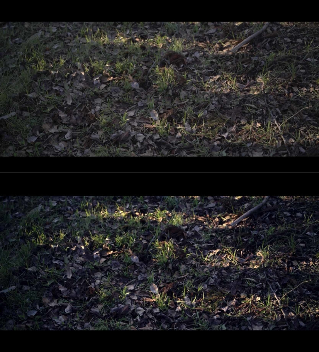 f:id:Studiocedarv:20200214205142j:plain