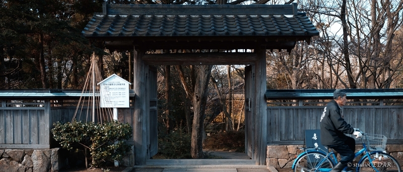 f:id:Studiocedarv:20200216214900j:plain f:id:Studiocedarv:20200216214900j:plain