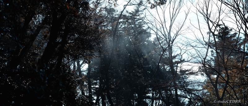 f:id:Studiocedarv:20200216215205j:plain f:id:Studiocedarv:20200216215205j:plain