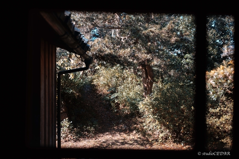 f:id:Studiocedarv:20200216220420j:plain f:id:Studiocedarv:20200216220420j:plain