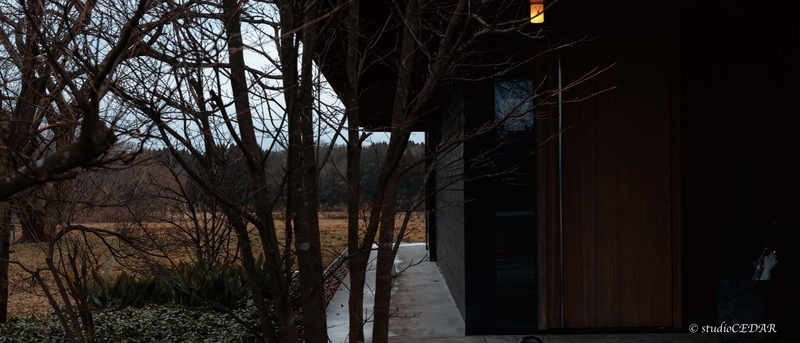 f:id:Studiocedarv:20200218193159j:plain