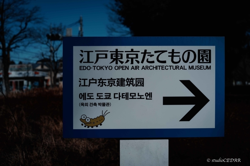 SIGMAfpの作例