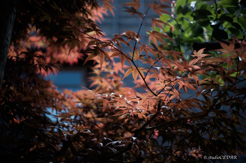 X-E2 7artisans35mmF1.2 作例