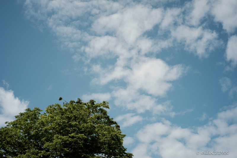 X-E2 7artisans35mmF1.2 作例