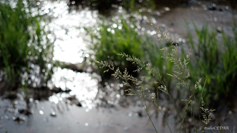 X-E2 7artisans35mmF1.2 作例