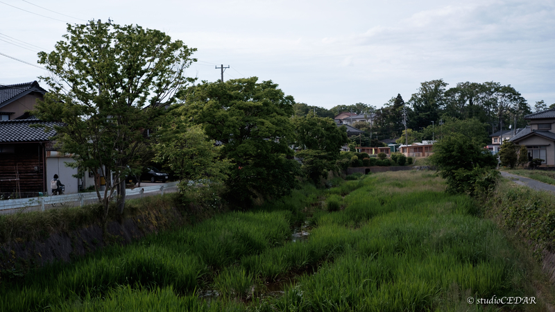 X-E2 7artisans35mmF1.2 作例