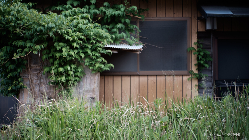X-E2 7artisans35mmF1.2 作例