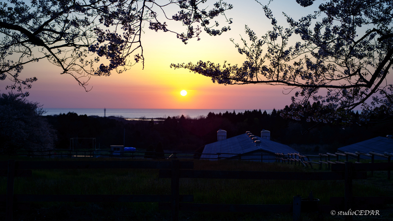 夕焼け