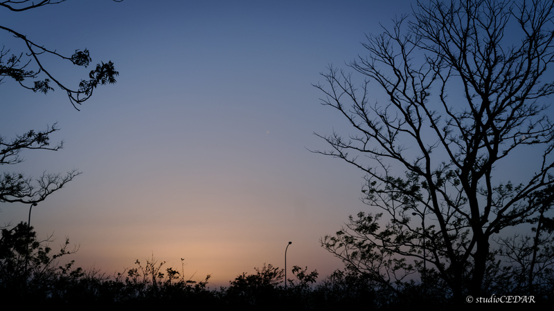 夕焼け