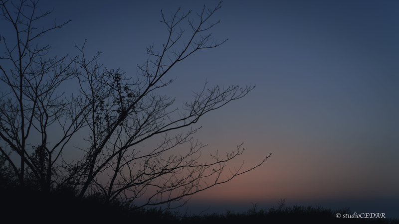 夕焼け