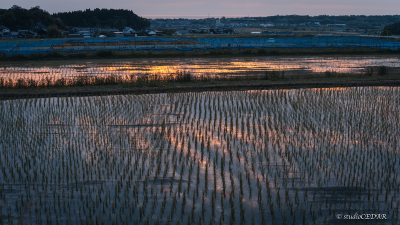 夕焼け