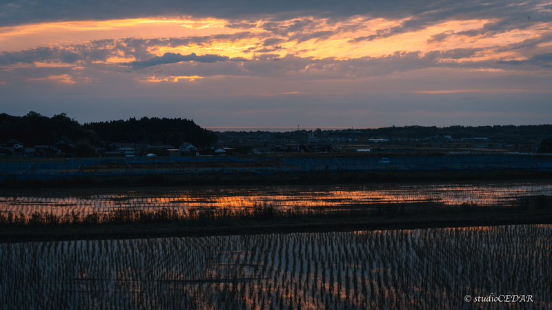 夕焼け