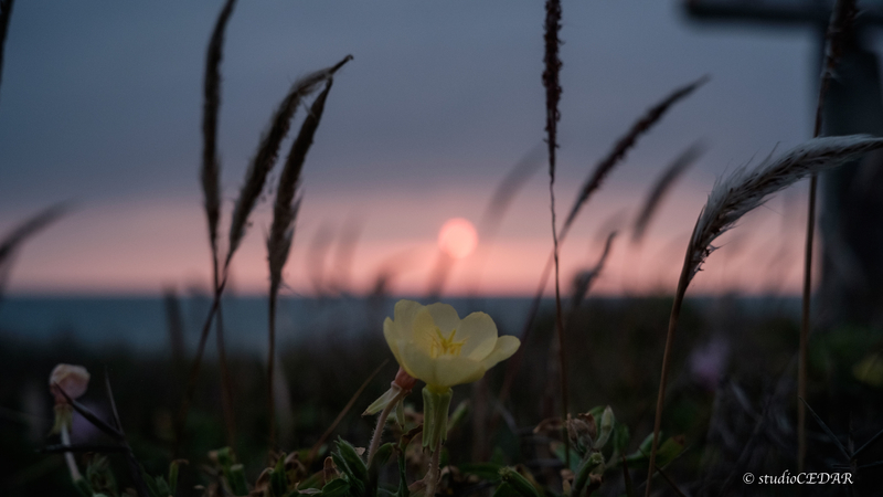 夕焼け