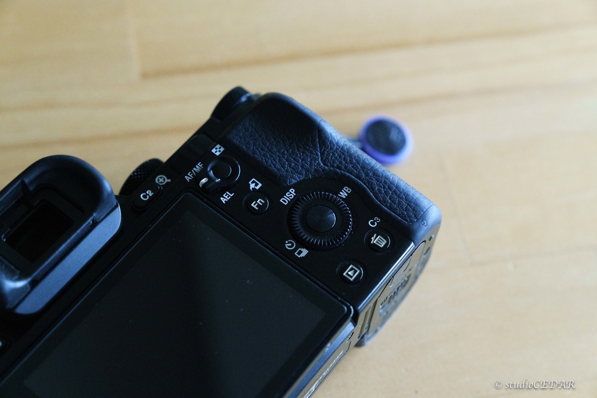 ようこそS】α7Sⅲ発表直前だけどα7S買いました！レビュー＆作例
