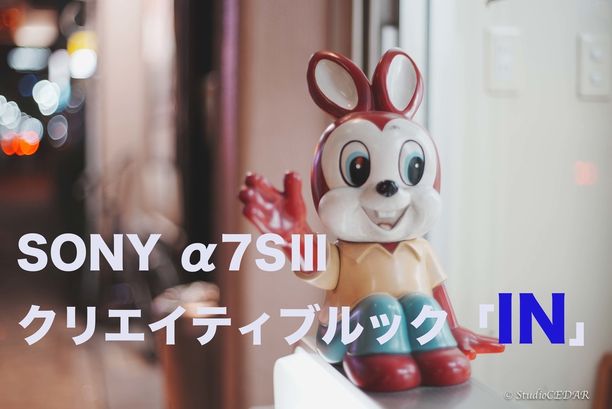 SONY α7SⅢのクリエイティブルックの作例『IN編』 - 『すぎっち』の