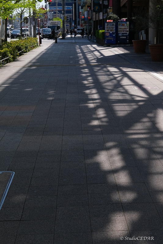 X100V　作例