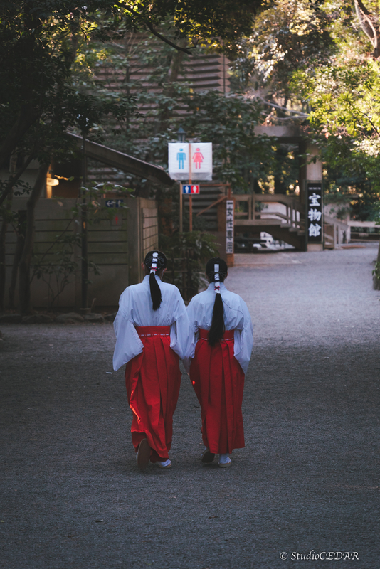 TAMRON 28-200mm F/2.8-5.6 Di Ⅲ RXD 作例