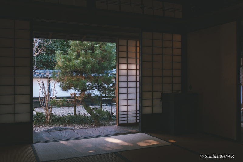 TAMRON 28-200mm F/2.8-5.6 Di Ⅲ RXD 作例