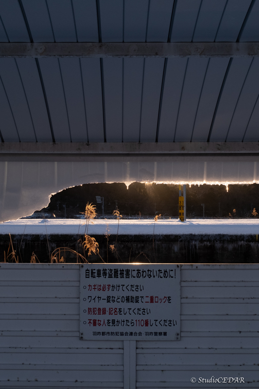 X100V　作例