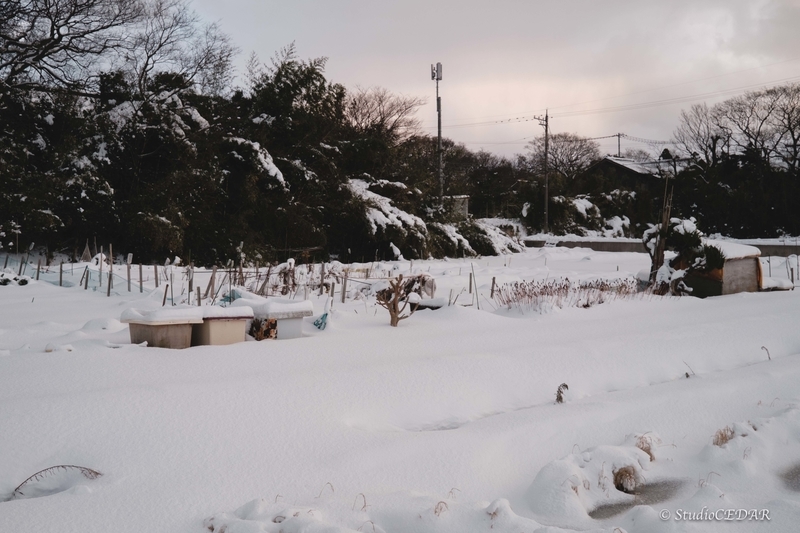 X100V 作例
