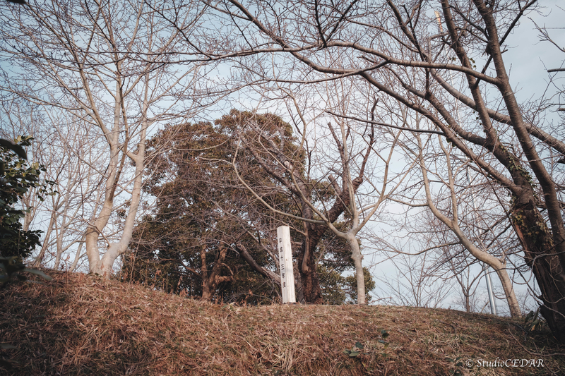 X100V 作例