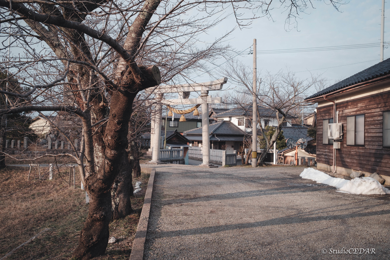 X100V 作例