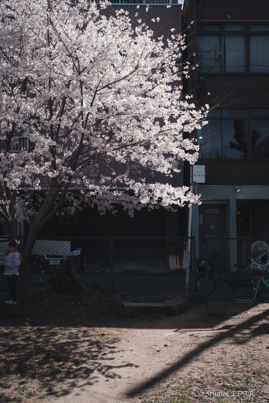 X100V 作例