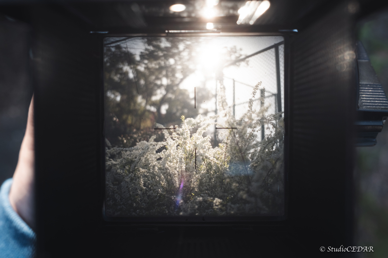 X100V 作例