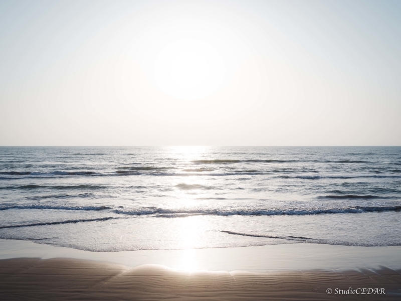 ハッセルブラッド 907x 作例