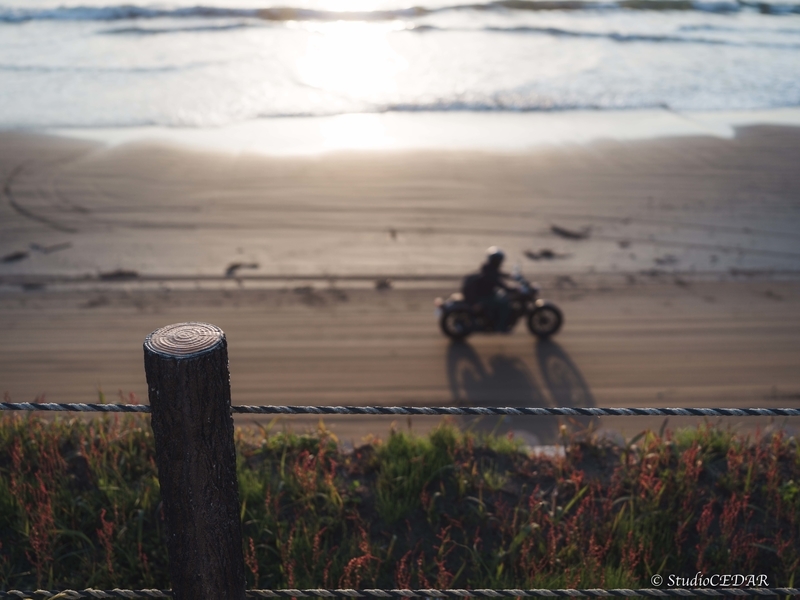 ハッセルブラッド 907x 作例