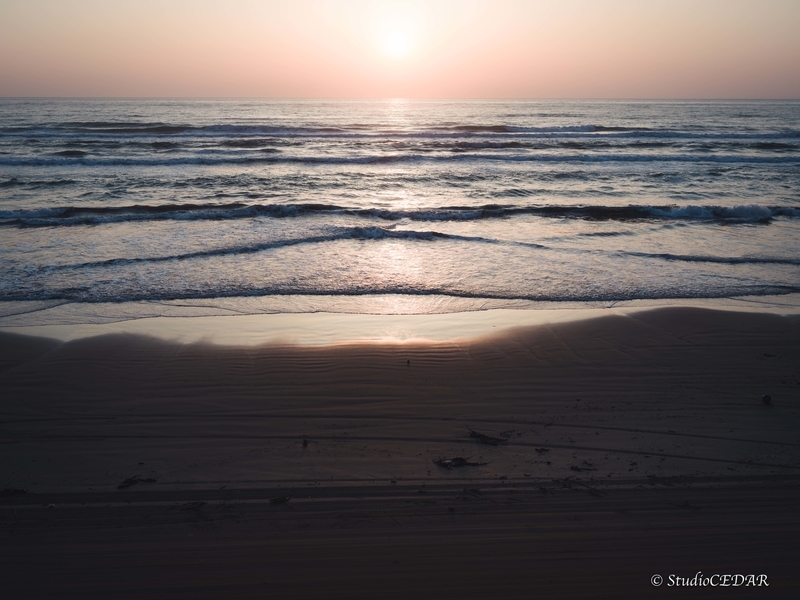 ハッセルブラッド 907x 作例