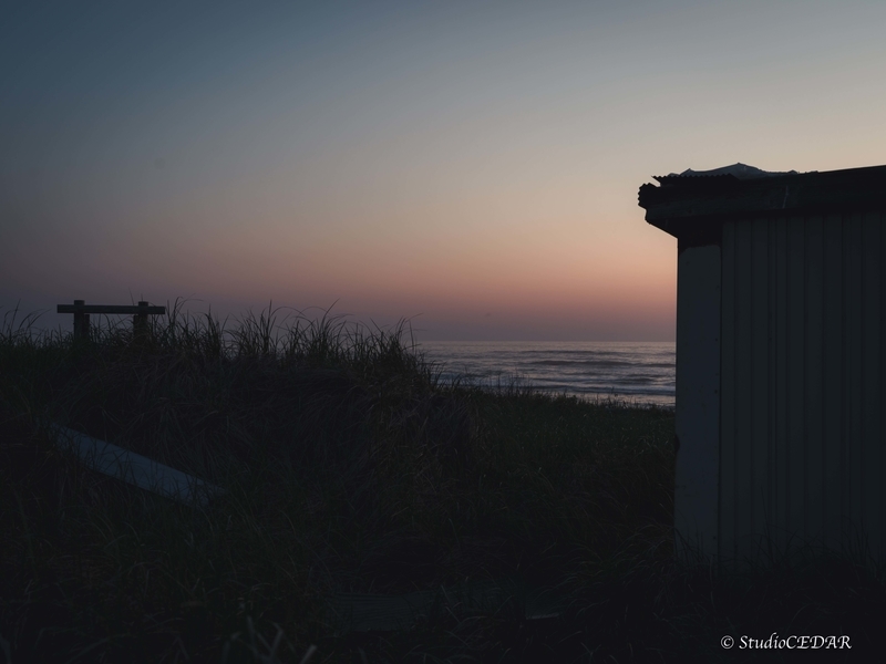 ハッセルブラッド 907x 作例