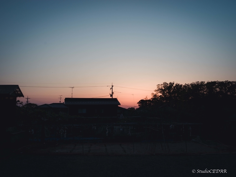 ハッセルブラッド 907x 作例