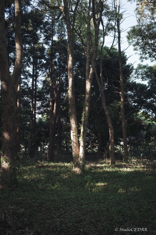 X100V 作例