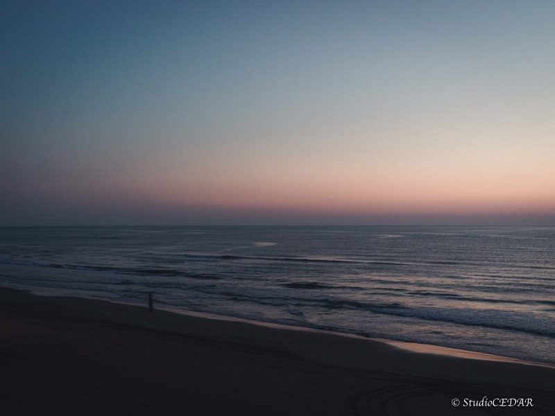 ハッセルブラッド 907x 作例