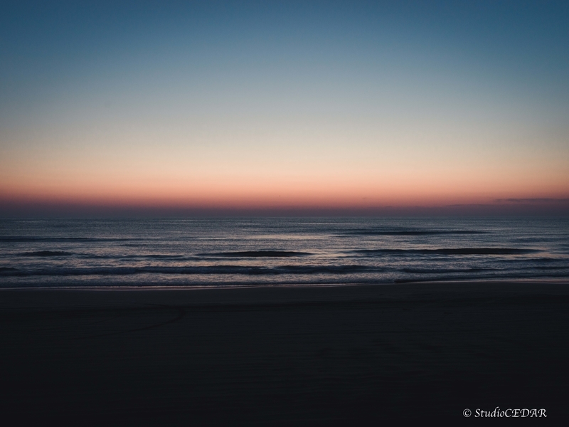 ハッセルブラッド 907x 作例