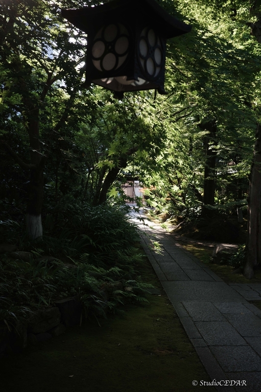 GR3x 作例