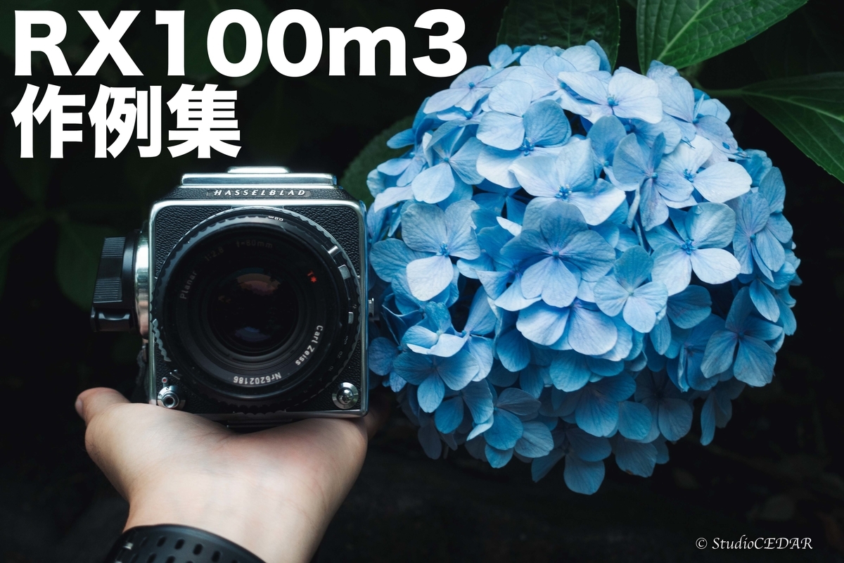 大特価定番 SONY ソニ RX100M3の通販 by cocoro shop｜ソニーならラクマ