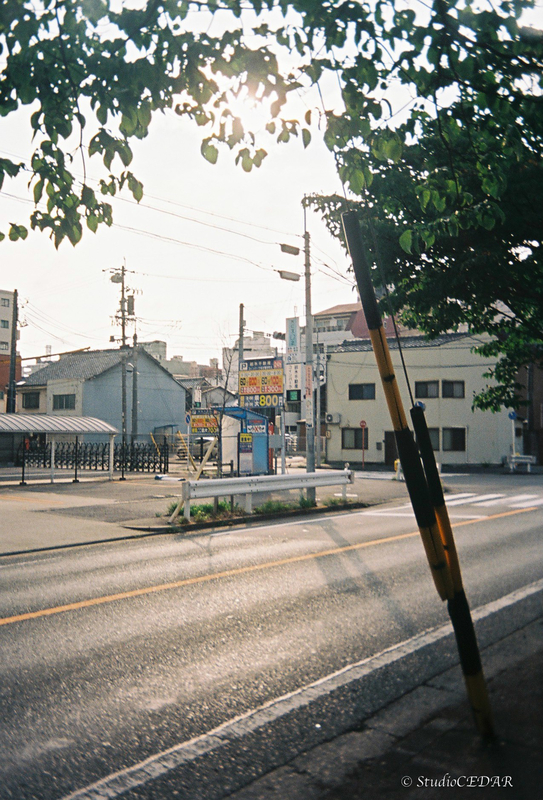 Kodak EKTAR H35 作例