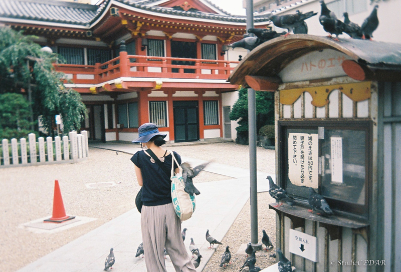 Kodak EKTAR H35 作例