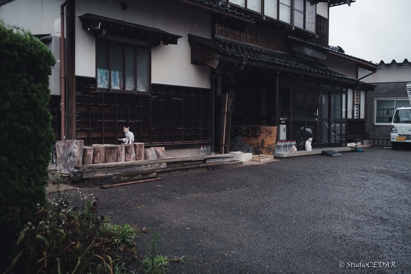 X100V 作例