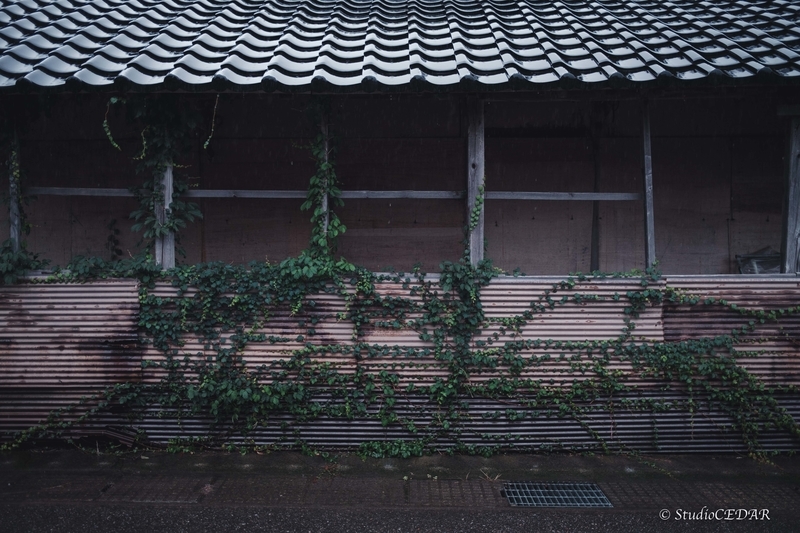 X100V 作例