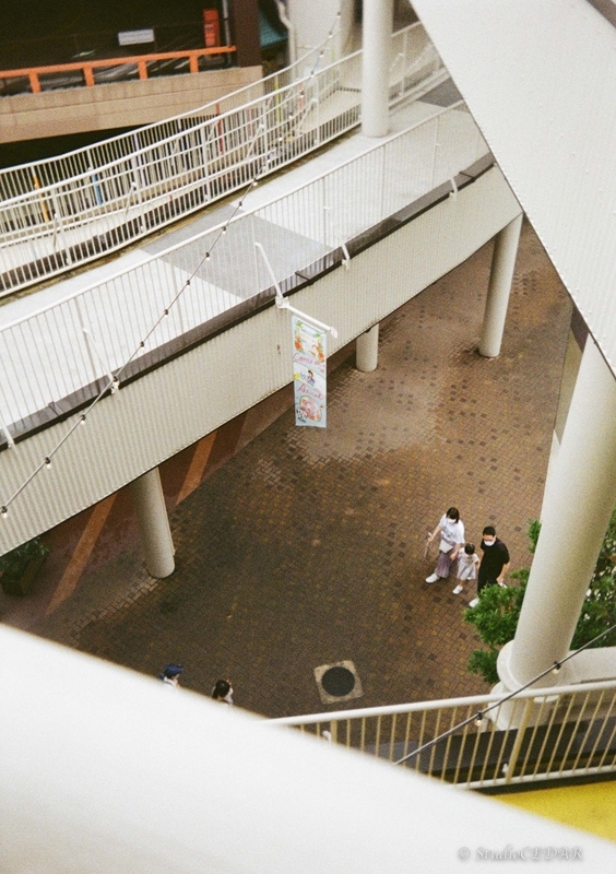 Kodak EKTAR H35 作例