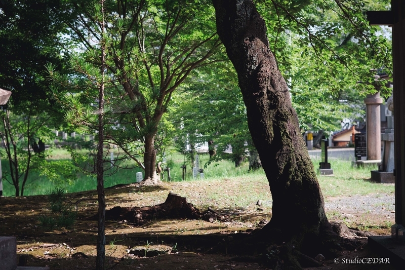 X-E2 作例
