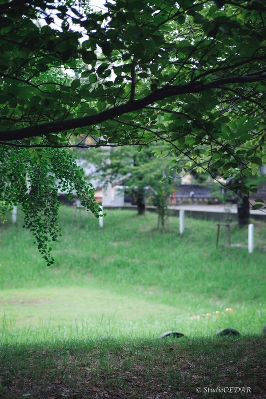 X-E2 作例
