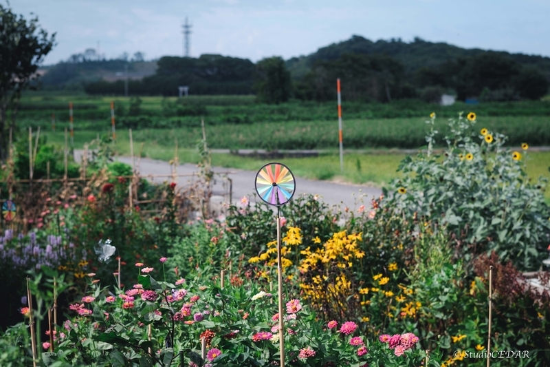 X-E2 作例