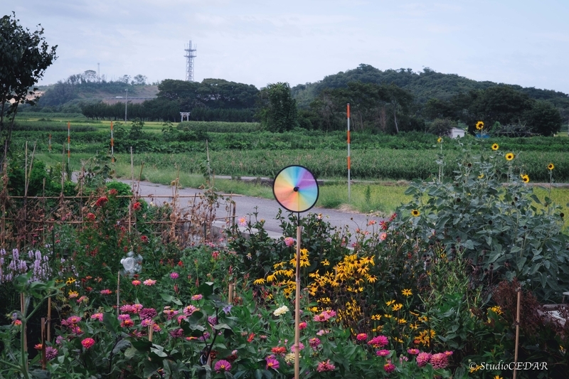 X-E2 作例