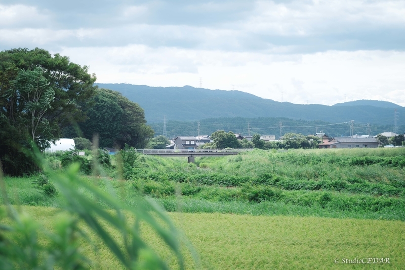 X-E2 作例